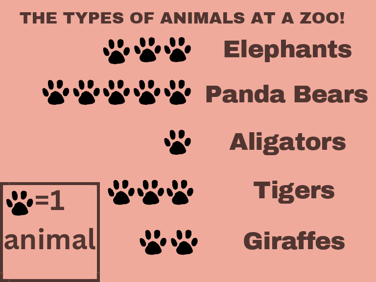 The Types of Animals at A Zoo! | PDF