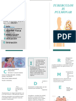 Triptico Plan de Alta TBP