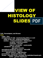 Histo, Review Slides