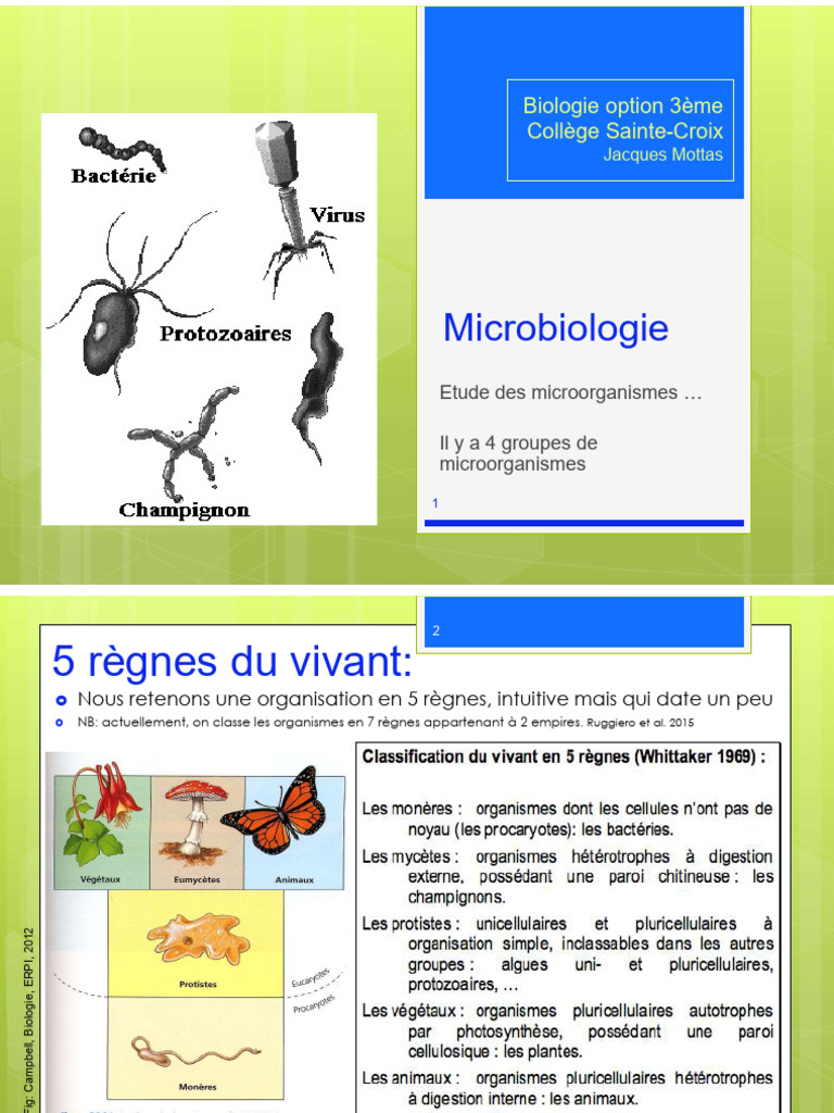 Les 5 règnes des êtres vivants en microbiologie | PDF | Bactérie | Peau