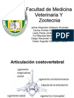 Ligamentos y Articulaciones Del Equino