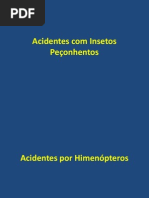 Acidentes com Insetos Peçonhentos