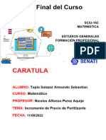 Trabajo Final Matematica