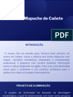 Museu Mapuche de Cañete