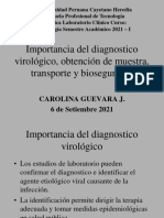 Diagnostico Virológico 1