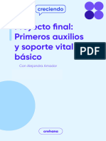 Proyecto-Final 5