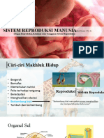 Sistem Reproduksi Manusia I (Organ, Penyakit)