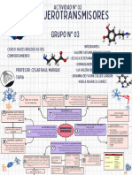 NEUROTRASMISORES