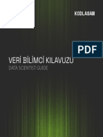 Veri Bilimci Kılavuzu