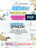 Mordedura S: Énfasis: Perros y Gatos