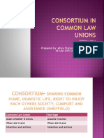 WS 2 - Consortium in Common Law Unions