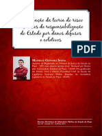 A Aplicação Da Teoria Do Risco Nos Casos de Responsabilização Do Estado Por Danos Difusos e Coletivos