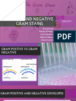 Gram Stain Tutorial v2