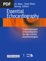 TTE TEE Report Template | PDF