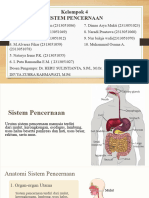 Sistem Pencernaan