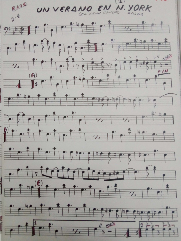 Un Verano en Nueva York PDF