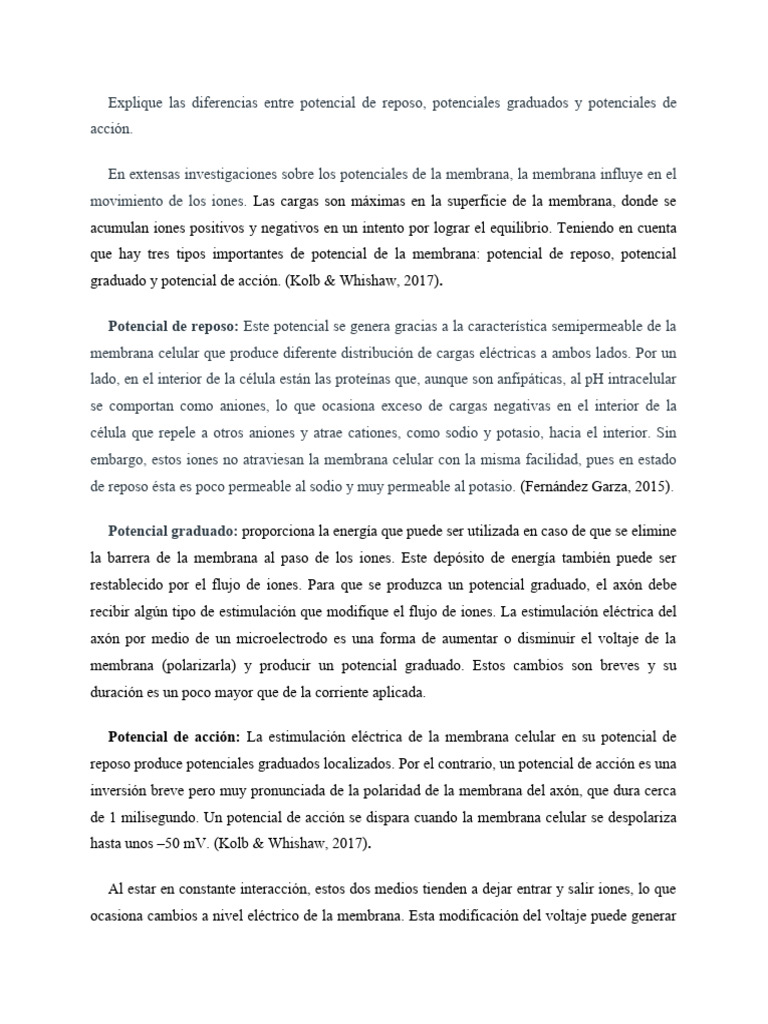 Explique Las Diferencias Entre Potencial de Reposo | PDF | Potencial de ...