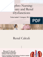 Nephro Nursing - Urinary and Renal Dysfunctions (Part 2)