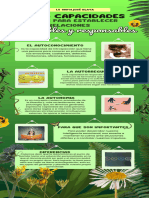 Infografia Naturaleza Medio Ambiente Llamativa Verde