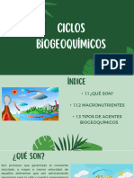 Ciclos Bioquimicos