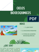 Ciclos Bioquimicos (PRESENTACIÓN)