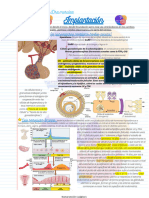 Implantación