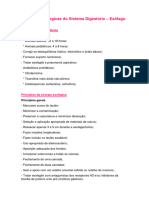 Técnicas Cirúrgicas Do Sistema Digestório - Esôfago