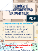 Técnicas y Procedimientos de Auditoria