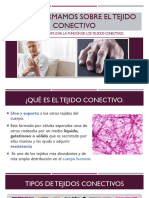 Nos Informamos Sobre El Tejido Conectivo