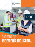 Ingeniería Industrial PED