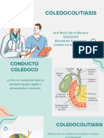 Definición y complicaciones del colédoco | PDF