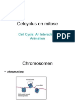 Celbiologie 7 Celcyclus&mitose