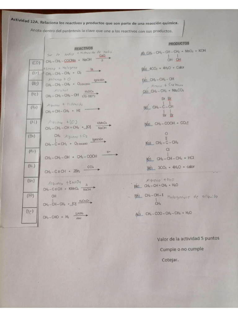 Actividad Quimica PDF