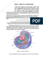 Bab V Siklus Glikolisis: Metabolisme