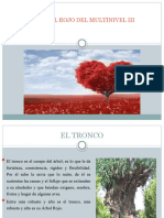 Presentación Árbol Rojo