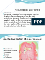 Morphology II - Lecture 5, Built, Function, Biology of Dental Cement
