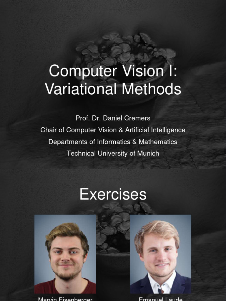 Variational Methods Intro | PDF | Computer Vision | Euler–Lagrange Equation