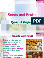 Seeds & Fruit