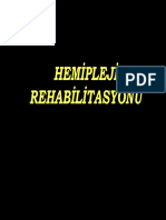 Hemipleji Rehabilitasyonu