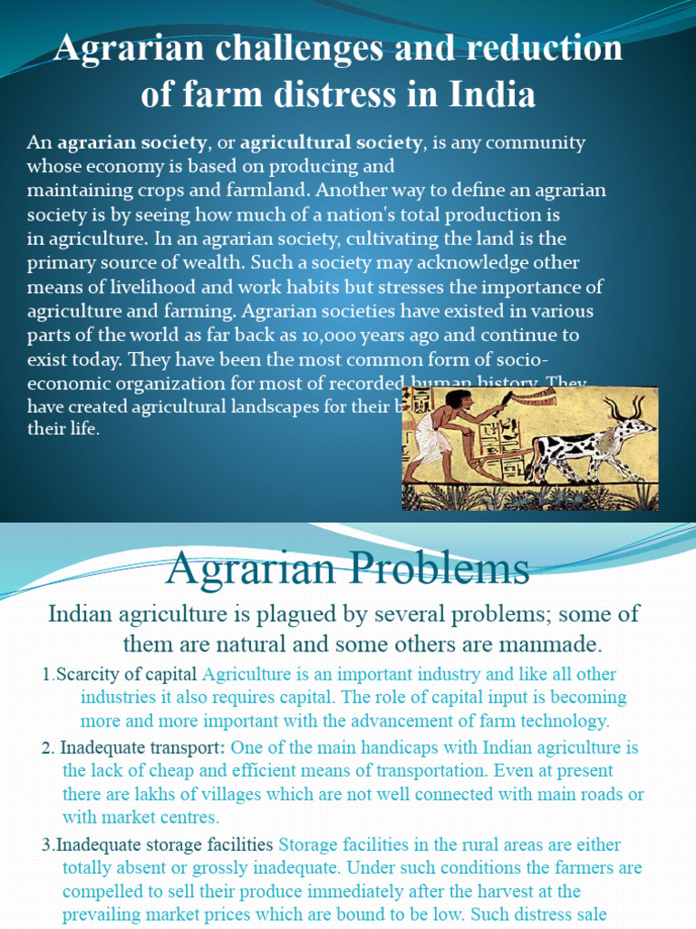 Addressing Farm Distress in India | PDF | Agriculture | Farms