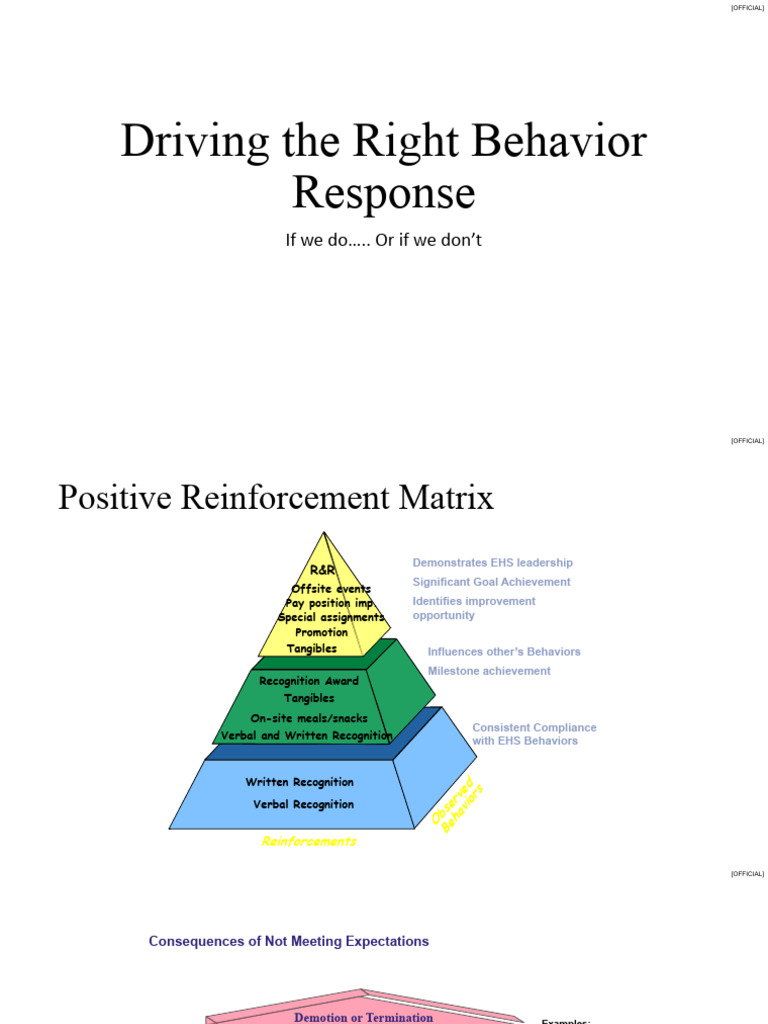 Driving The Right Behavior Response | PDF | Safety