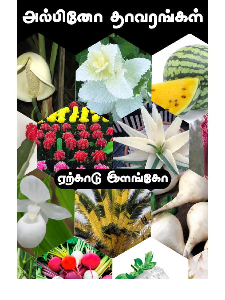 Albino Plants A4 PDF