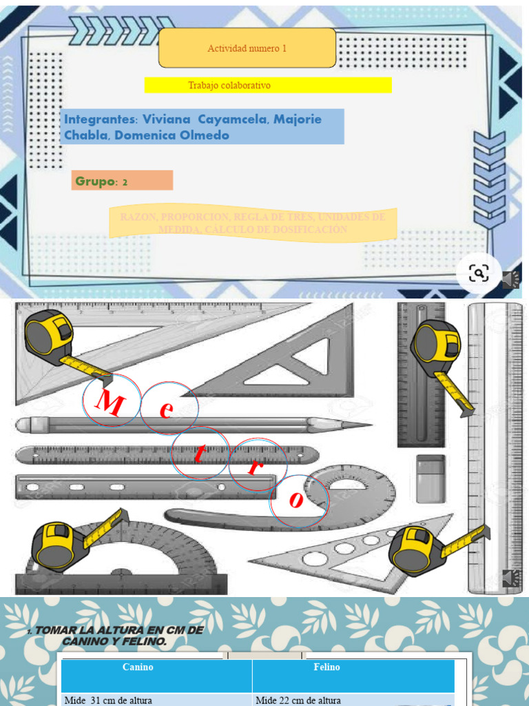 Matemática Aplicada 1 PDF