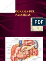 Eco Pancreas