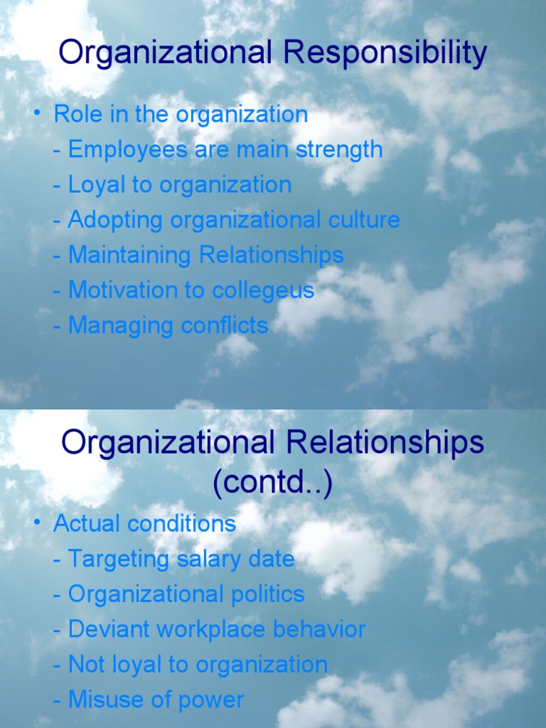 Organizational Responsibility | PDF | Cognitive Science | Systems ...