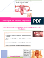 Patología Del Sist Reproductor Femenino