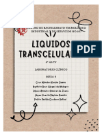 Proyecto Liquidos Transcelulares Equipo 4ALCV