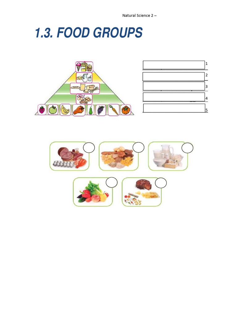 Food Groups | PDF