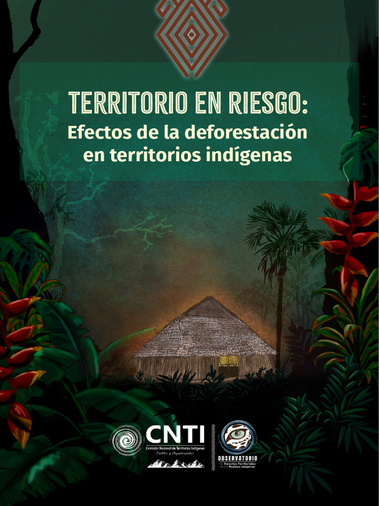 Deforestación y Territorios Indígenas | PDF | Reducción de emisiones por  deforestación y degradación forestal | Los bosques