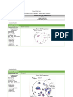 Jurnal Praktikum 1